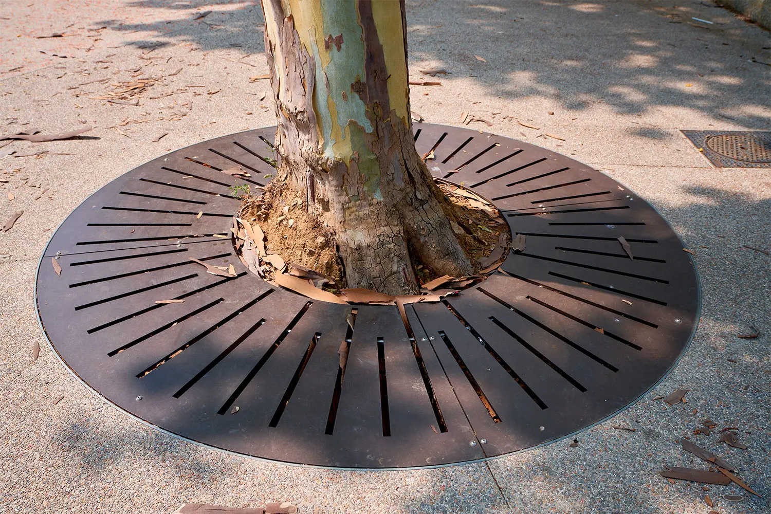 Entourage d'arbre métallerie Perpignan Ferneuf